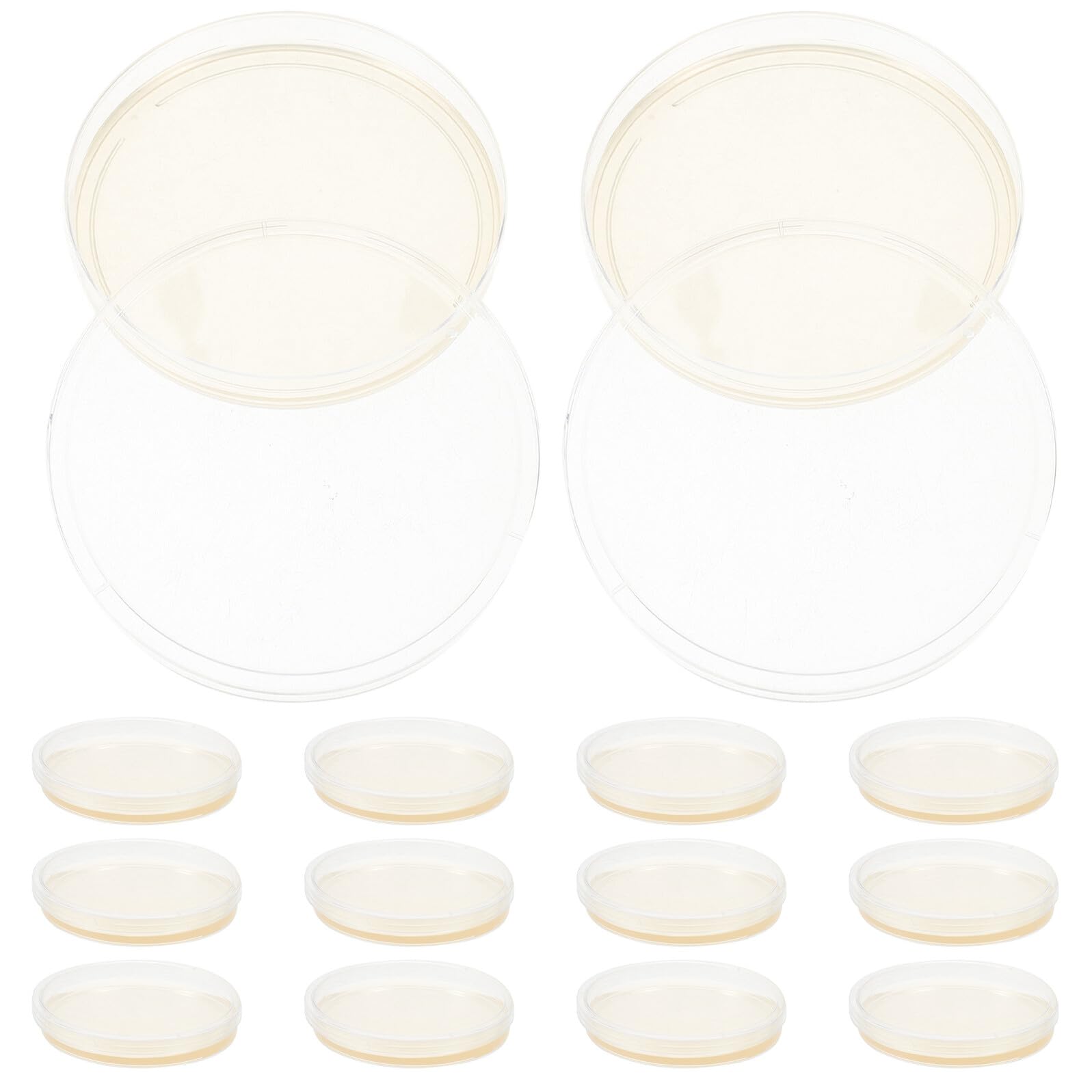 Healvian 20 Placas de Petri de Agar Nutritivo Preparadas Tapas Ajustadas, Plástico Ps Resistente de 9cm para Cultivo Celular y Suministros de Laboratorio en Experimentos Científicos