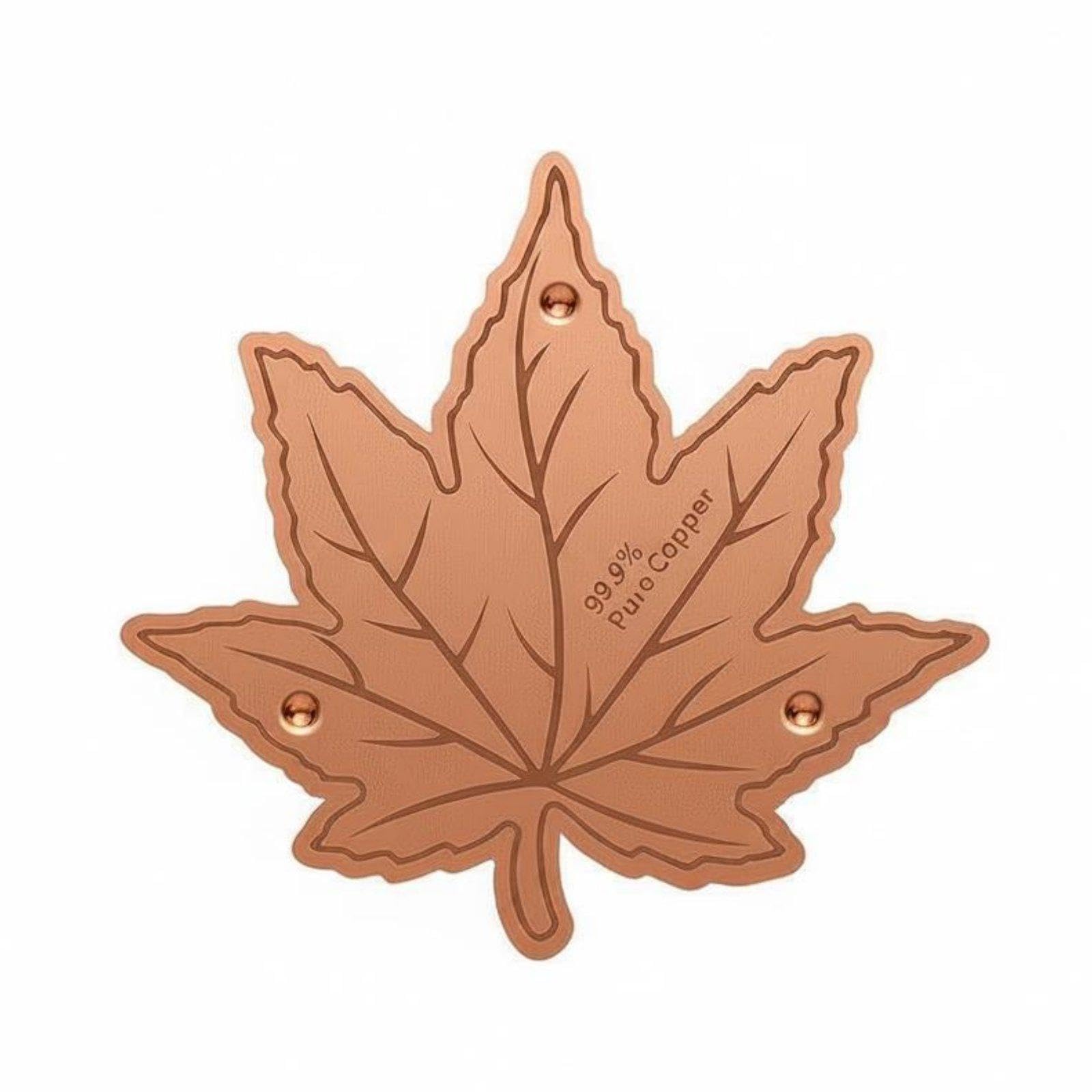 Bird Bath Disk Birdbath Purification Disc Easy to Place Copper Cleaning Disk Style a|Home & Garden| Yard, Garden & Outdoor Living| Bird & Wildlife Accessories| Birdbaths-picture-32