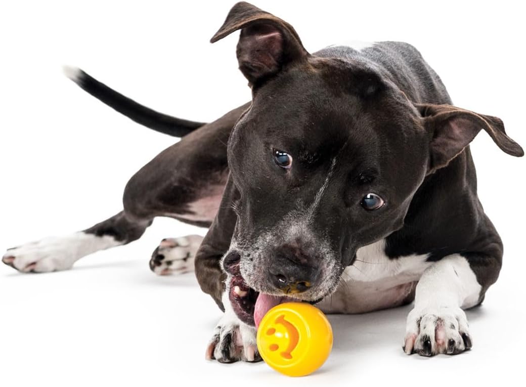 Planet Dog Orbee-Tuff Nooks Green Paw Print Treat-Dispensing Dog Toy 4 6164P2+gDqL. AC SL1077