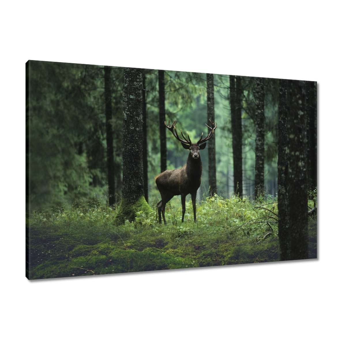 Pittura stampata su tela Wall Art Decor 90x60cm Cervo cervo foresta paesaggio n. H3898M_PC1L