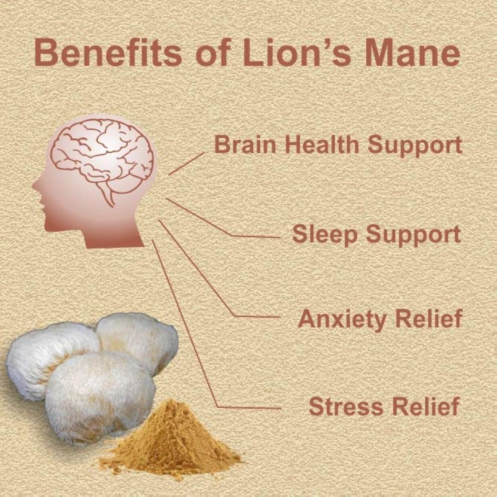 Mahogany Lion's Mane Mushroom Extract Powder 200g