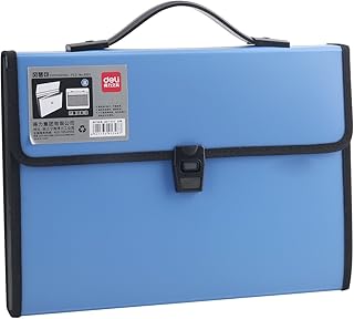 LI-GELISI Accordion Expanding File Folder,13-Pockets,A4 Size,Handle and Tabs,Buckle Closure (Blue)