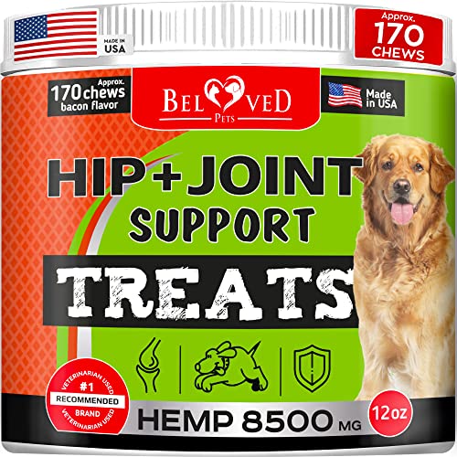 What Is The Best Pain Medication For Dogs With Hip Dysplasia Spicer