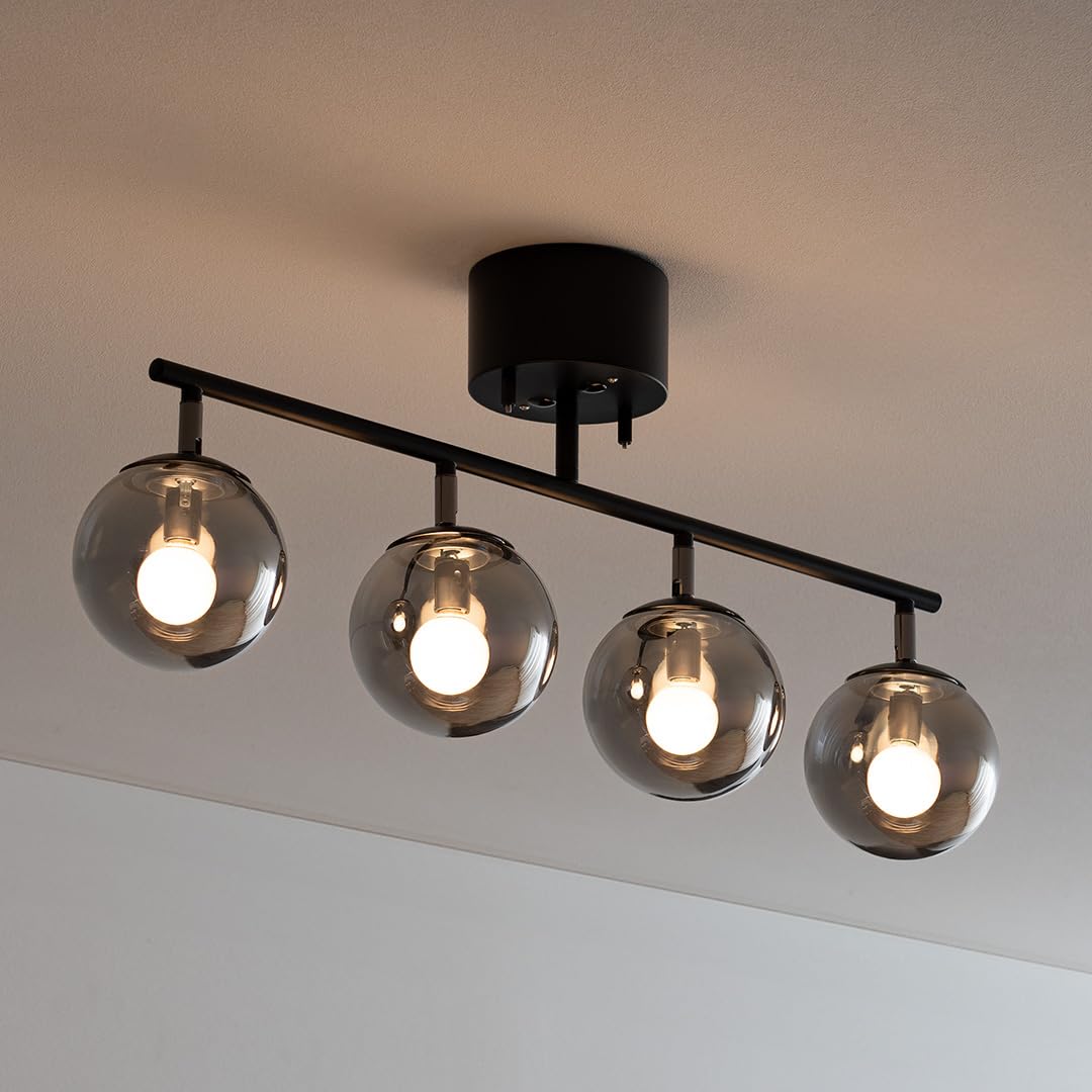 Amazon.co.jp : エア・リゾーム シーリングライト LED 対応 照明器具