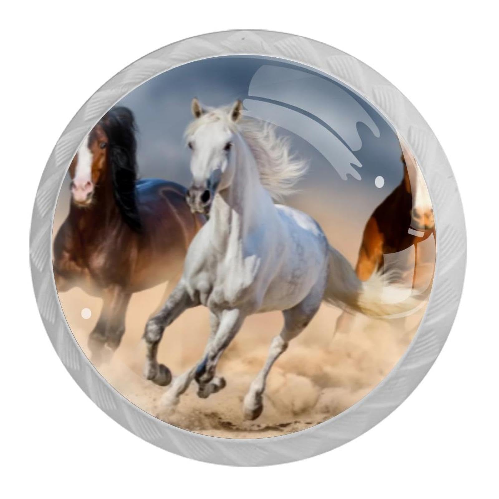 Tqmspg Animal Horses
