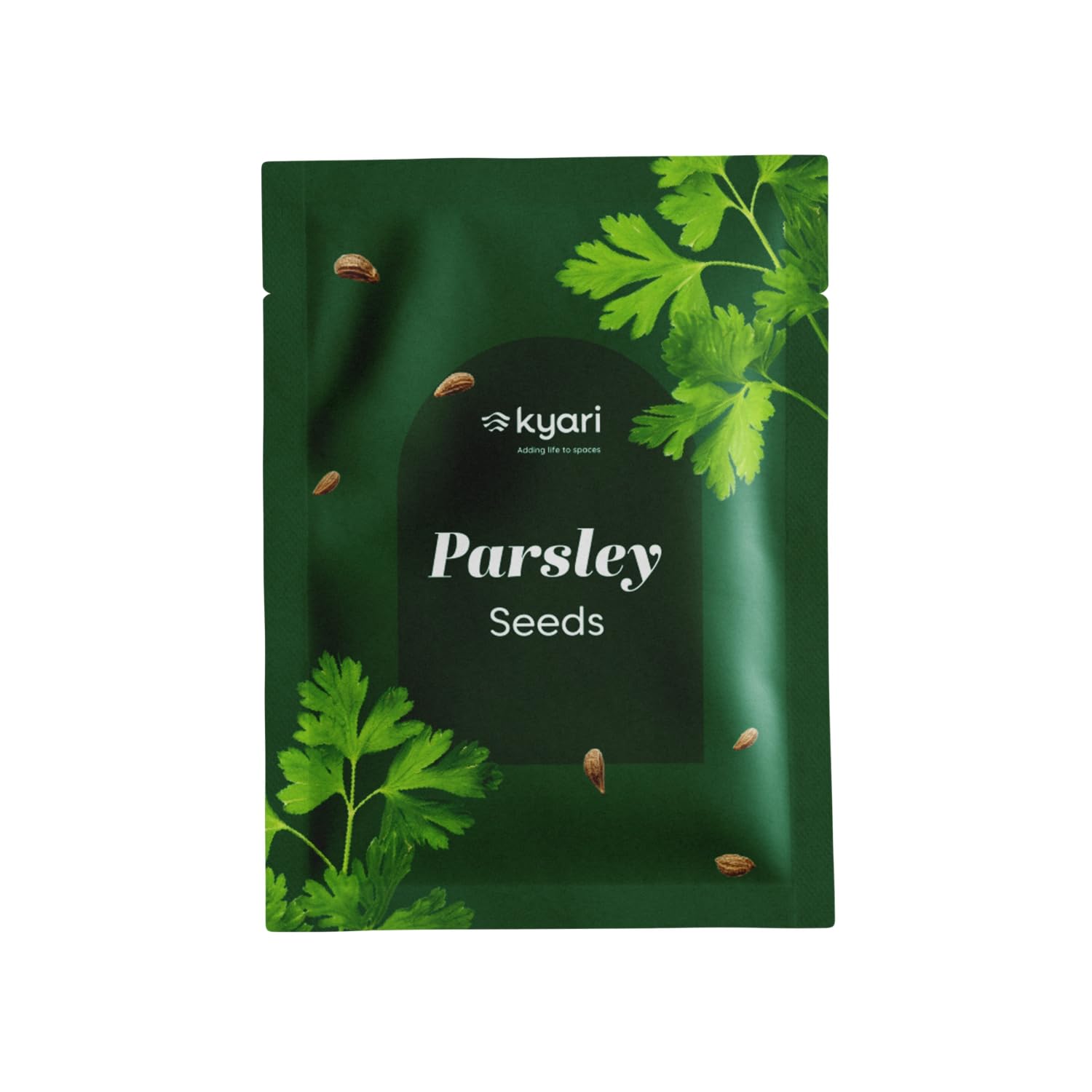 Kyari Tulsi Seeds - Holy Basil Herb Seeds -10