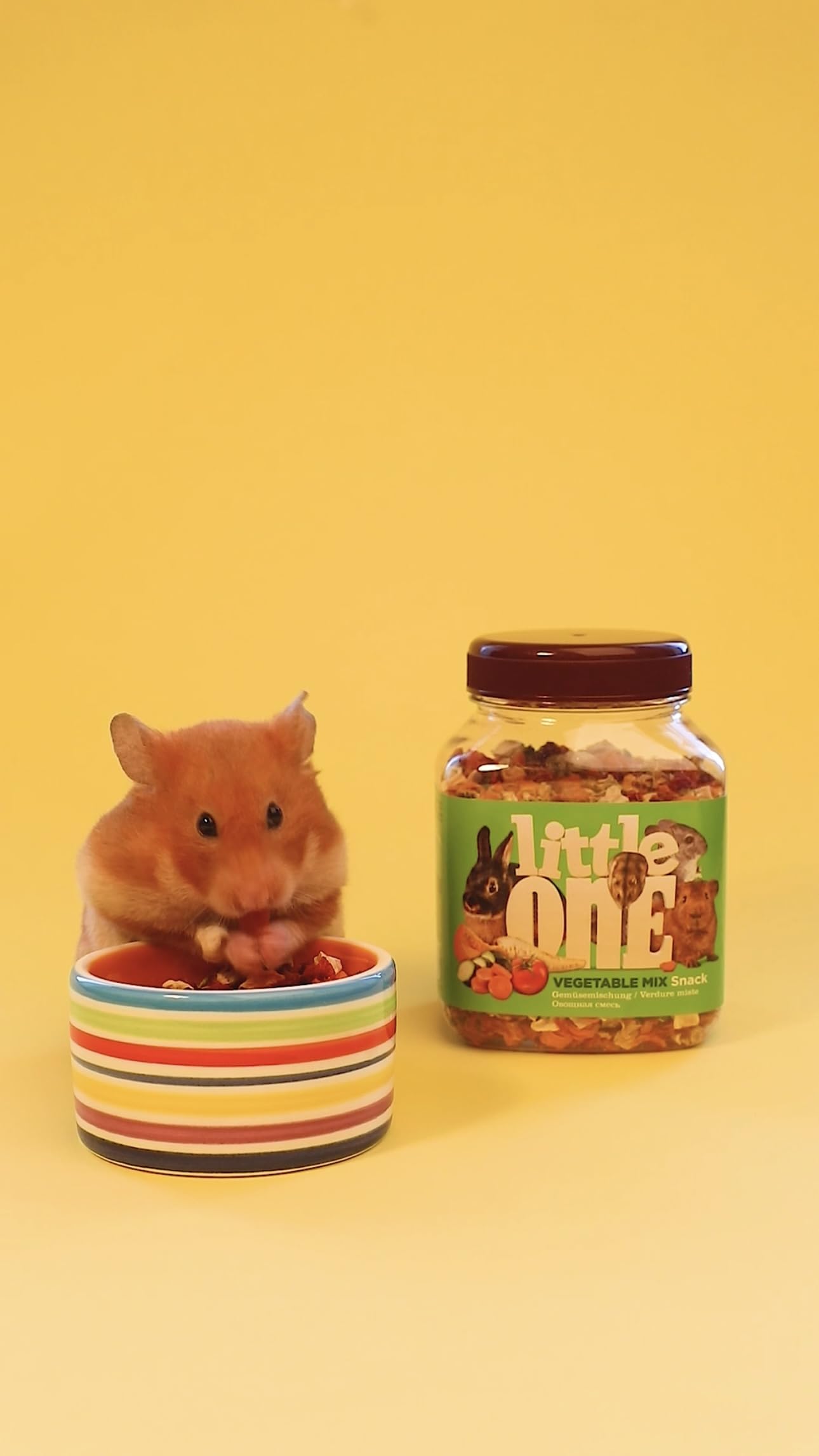 Little One Vegetable Mix Snack | Pack Double | 2 x 140 g | Aliment complémentaire pour rongeurs et Lapins Nains | Mélange composé de Sept Types de légumes séchés