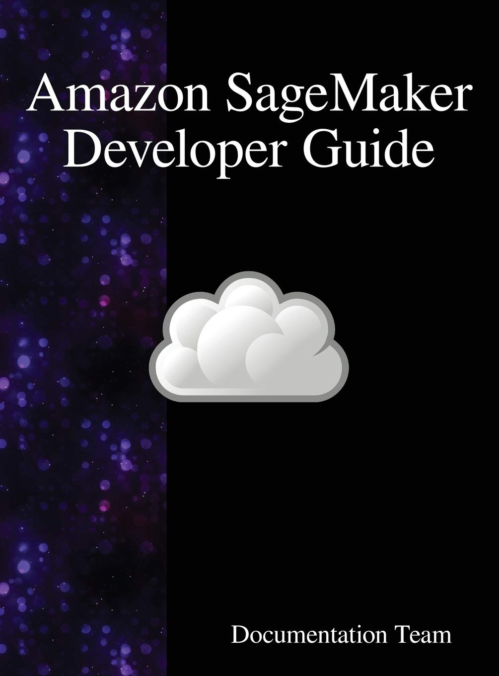 Amazon SageMaker Developer Guide by Development Team (Hardback Book)