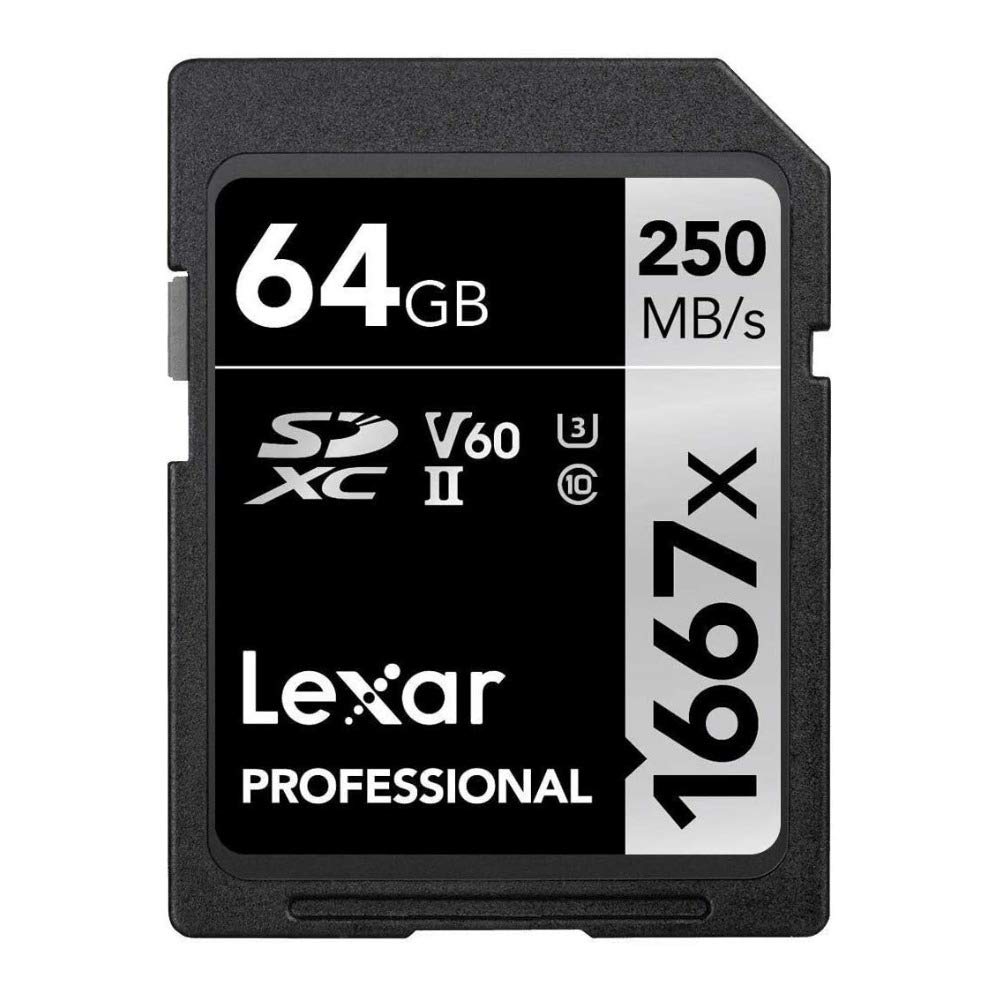 Lexar Tarjeta de Memoria SDXC Profesional de 64 GB 1667x, UHS-II, C10, U3, V60, vídeo Full-HD y 4K, hasta 250 MB/s de Lectura, para fotógrafos Profesionales, videógrafos, entusiastas (LSD64GCBNA1667)