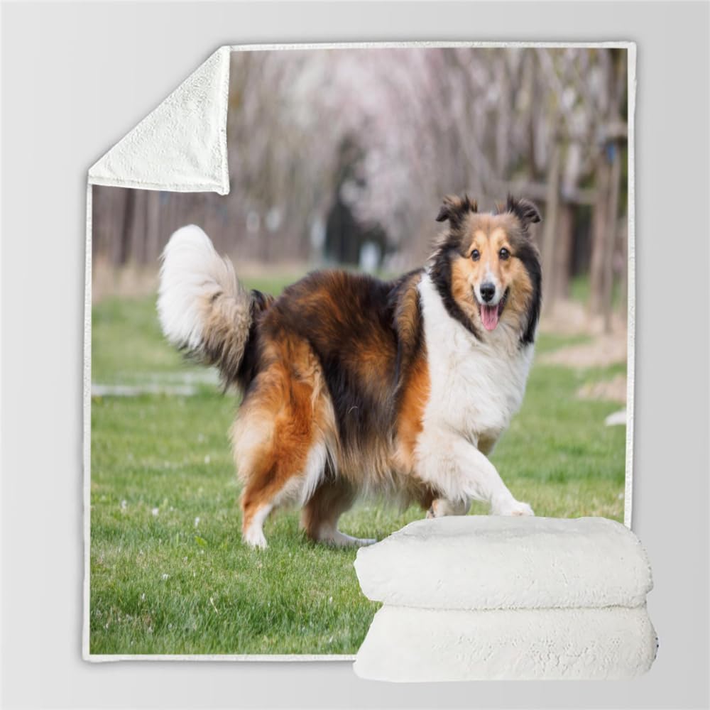 Flanelle Couverture Chien De Berger Chien Animal Berger Shetland Couverture lit 2 Personnes 3D Imprimée Doux Chaud Couverture Queen Super Douce Canape Couverture 2 Personnes 180x220