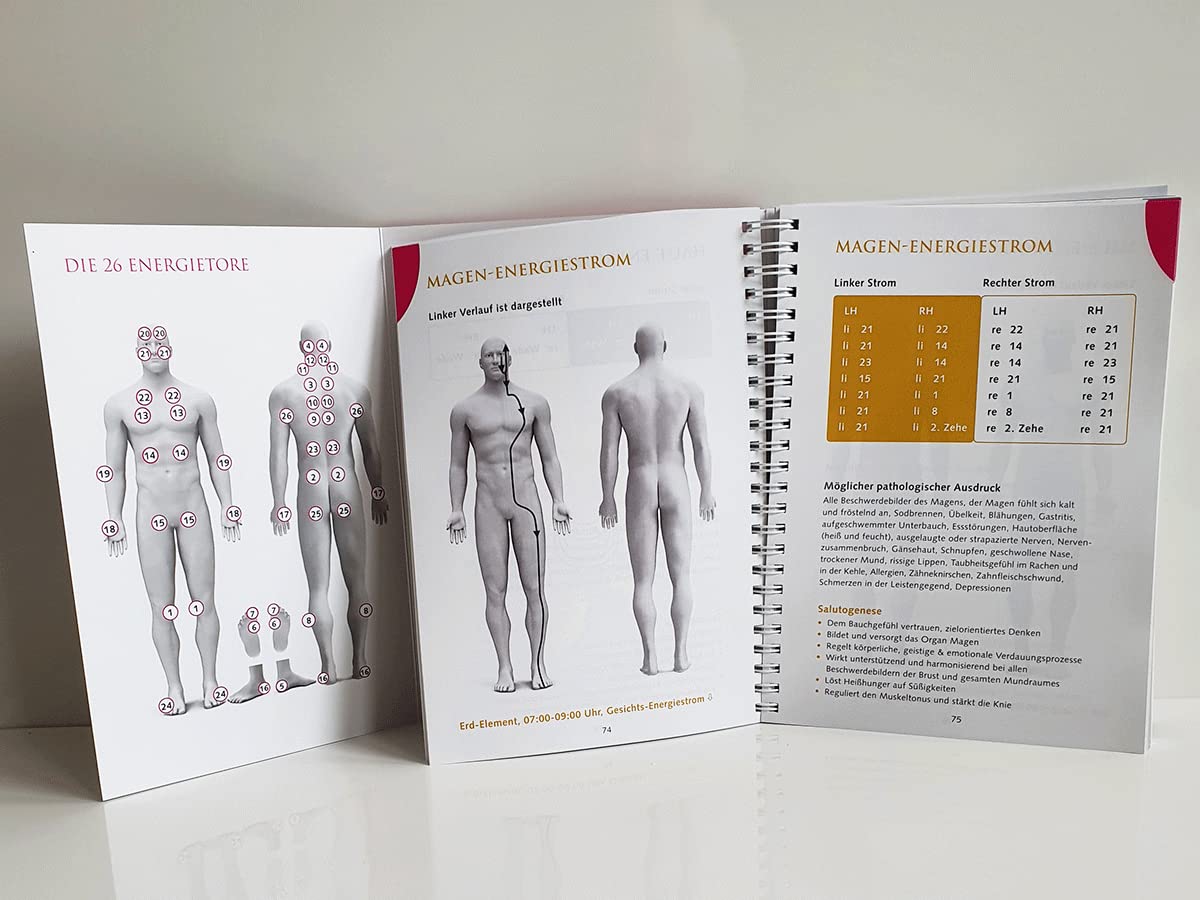 Energie-Strömen für mich & dich [DIN A 5]: Das große Praxisbuch des Strömens - Alle Ström-Rezepte von Jiro Murai nach praktischen und ergonomischen Kriterien weiterentwickelt.