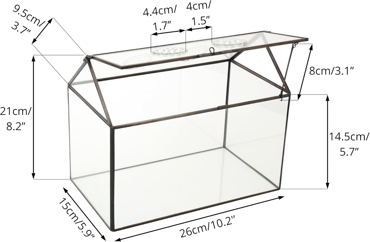 NCYP Mini Glass Terrarium with Lid, Glass Terrarium with Lid and Air Holes, for Small Cactus, Succulents Plants