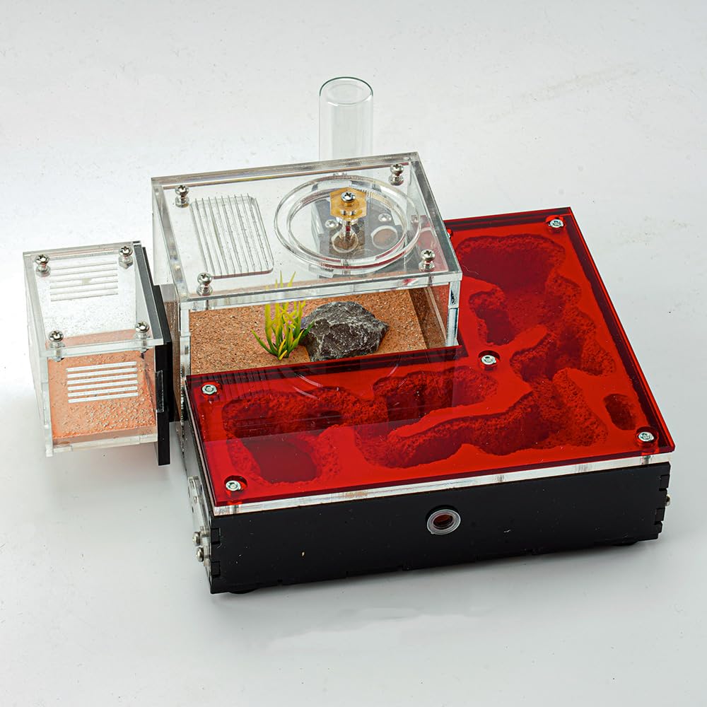 Small Ant Nest – Featuring Activity Zone, External Water Tower & Trash Area, Built-in Humidity System, Keeps Nest Moist for Up to 1 Week