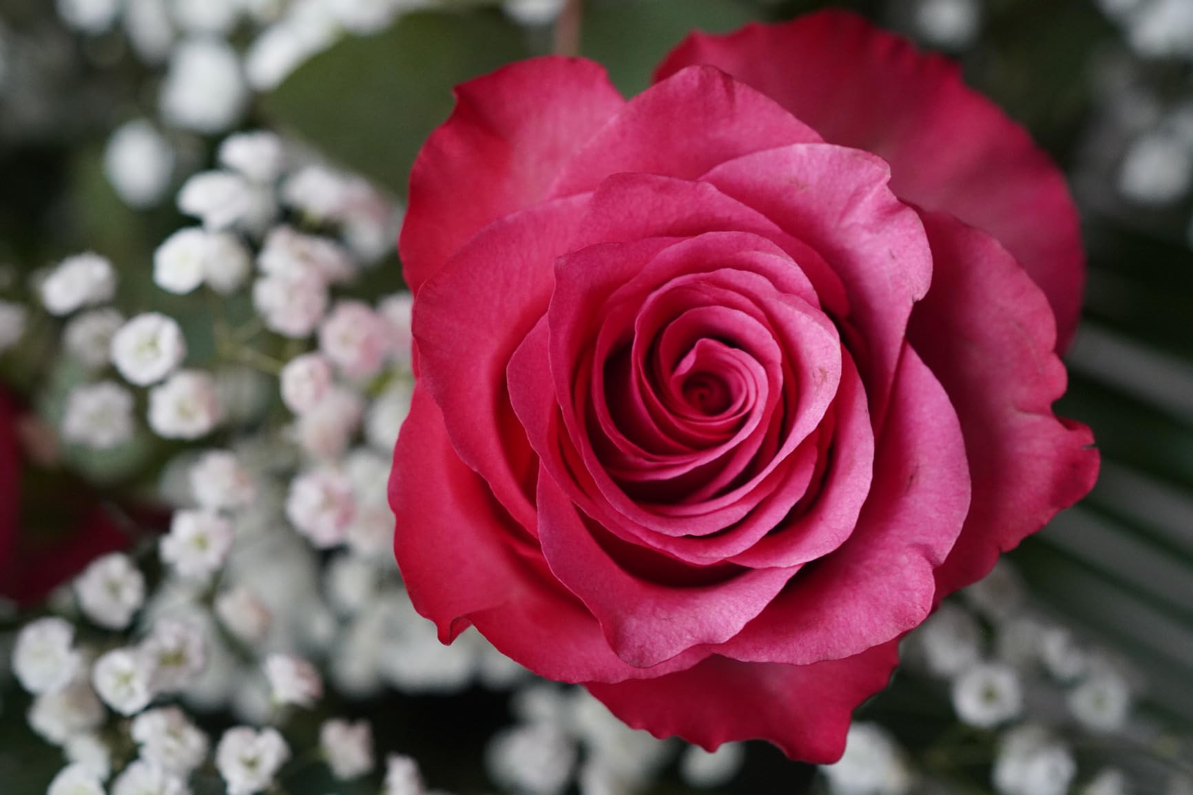 Bin kein Profifotograf