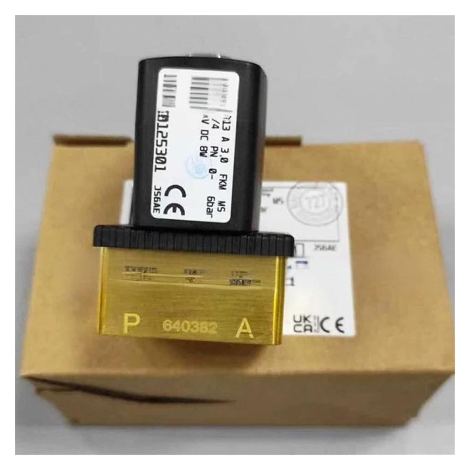 EAHWCXSD Direct-acting Solenoid Valve 6013 A 3.0 G1/4 24VDC 8W 00125301