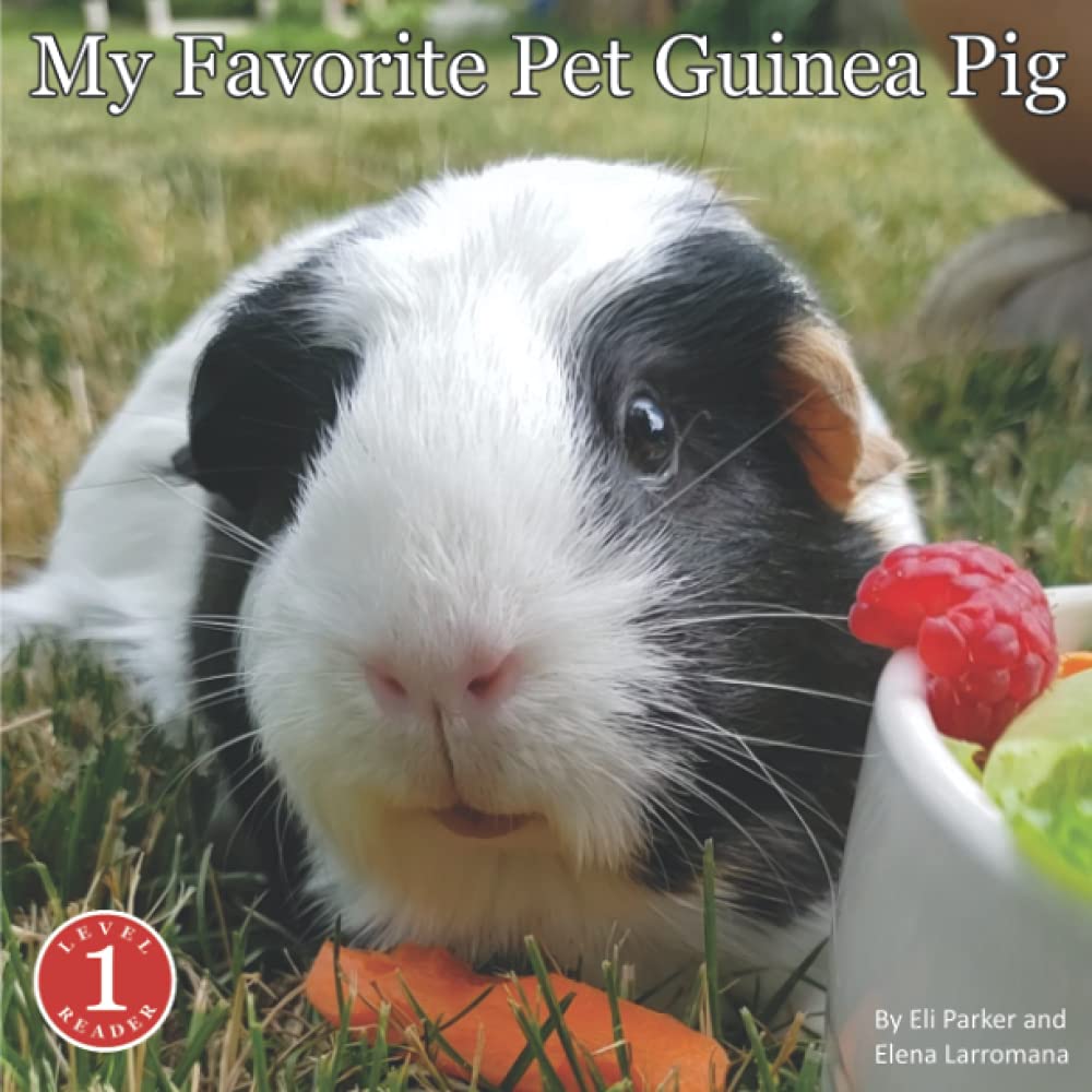 My Favorite Pet Guinea Pig