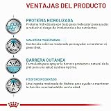 Ver la foto 2