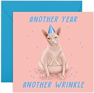 Central 23 - Funny Animal Birthday Card - “Sphynx Cat Another Year Another Wrinkle” - For Men & Women - Mum Dad Husband Wife Brother Sister 21st 25th 30th 40th 50th 60th - Comes with Fun Stickers