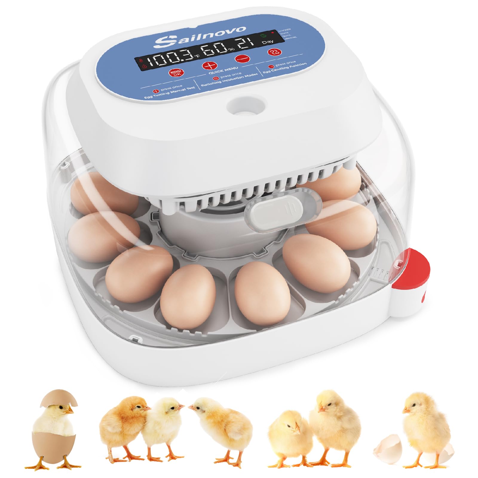 Sailnovo Incubadora de 12 Huevos con Volteo Automático, 4 Modos, Pantalla de Humedad y Ovoscopio Integrado. Para Gallinas, Patos y Codornices. Ideal para el Hogar, Granja y Educación (Azul)