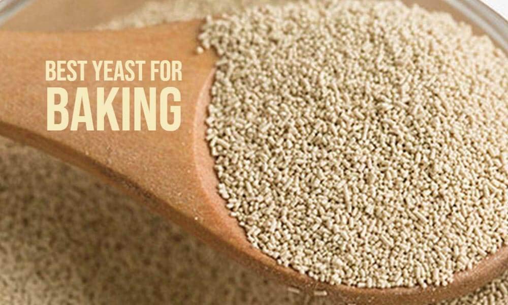 Organic Bites Active Instant Dry Yeast [Yeast for Baking Bread, Cake and Wine] (200) (B08P9M7K39) Amazon Price History, Amazon Price Tracker