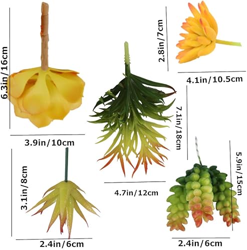 Miniatura 3 de Zhiheng Plantas suculentas artificiales surtidas (mutil)