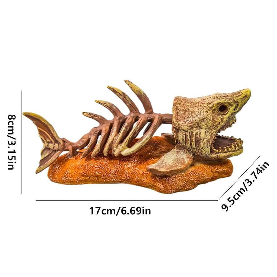 6165ZUOZkVL._UF894,1000_QL80_.jpg