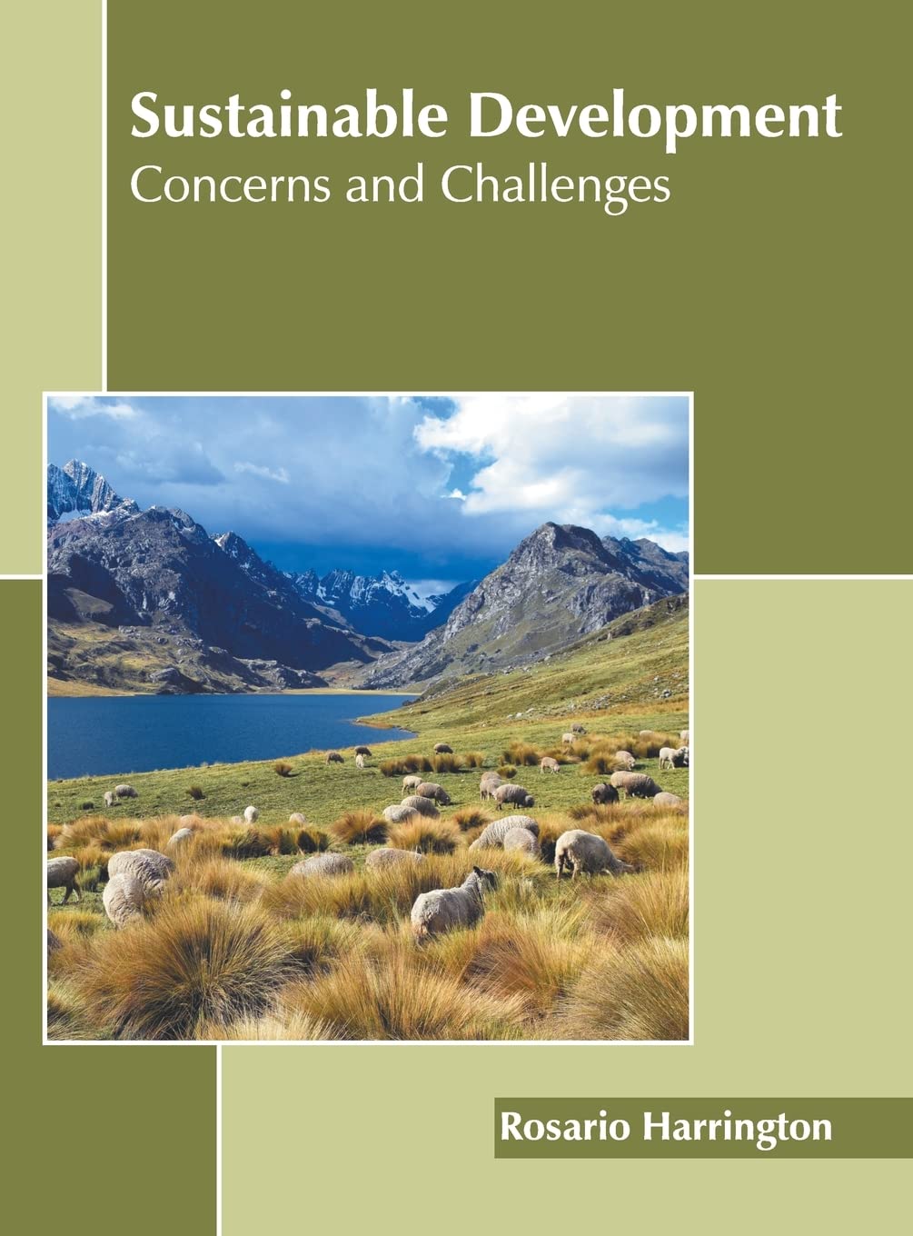 Sustainable Development: Concerns and Challenges: Harrington, Rosario ...
