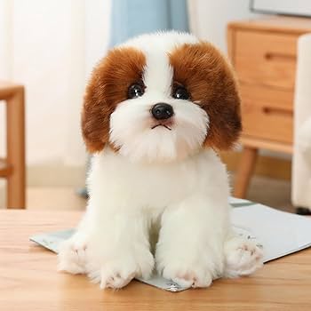 激レア　フォンテーヌ　ドレッシーペット　シーズ 犬 子犬の詳細情報 (千葉県/2025年6月15日生まれ/男の子/ホワイト
