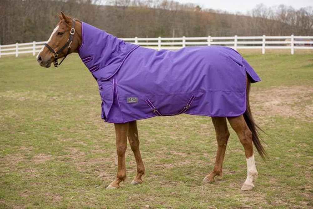 TuffRider 1200 D Comfy Winter Medium Weight Ripstop Turnout Blanket w/Detachable Neck- 200 GSM