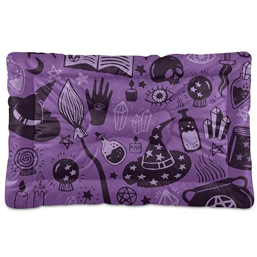 Qilmy Halloween Dog Bed Cat Bed Pet Crate Mattress Non-Slip Soft Pet Dog and Cat Bed Mat Washable Kennel Pad,24 x 36 Inch - 36x24in - Halloween