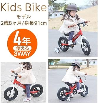 d'bike 赤 12インチ 幼児用自転車 ペダル外しできる d´bike 赤 12