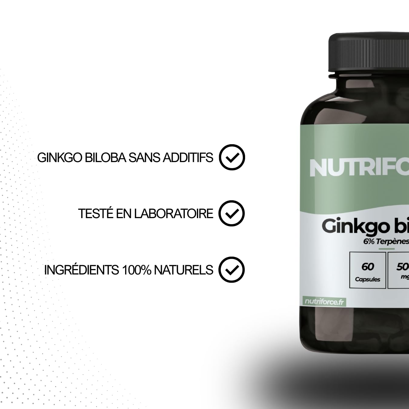 Ginkgo Biloba – Mémoire, Concentration & Circulation Sanguine – 60 Gélules