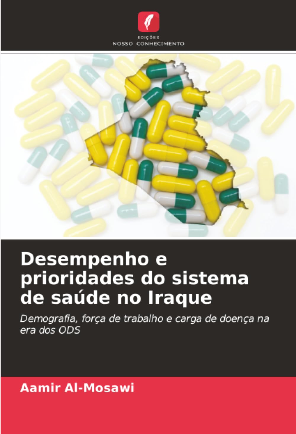 Desempenho e prioridades do sistema de saúde no Iraque: Demografia, força de trabalho e carga de doença na era dos ODS