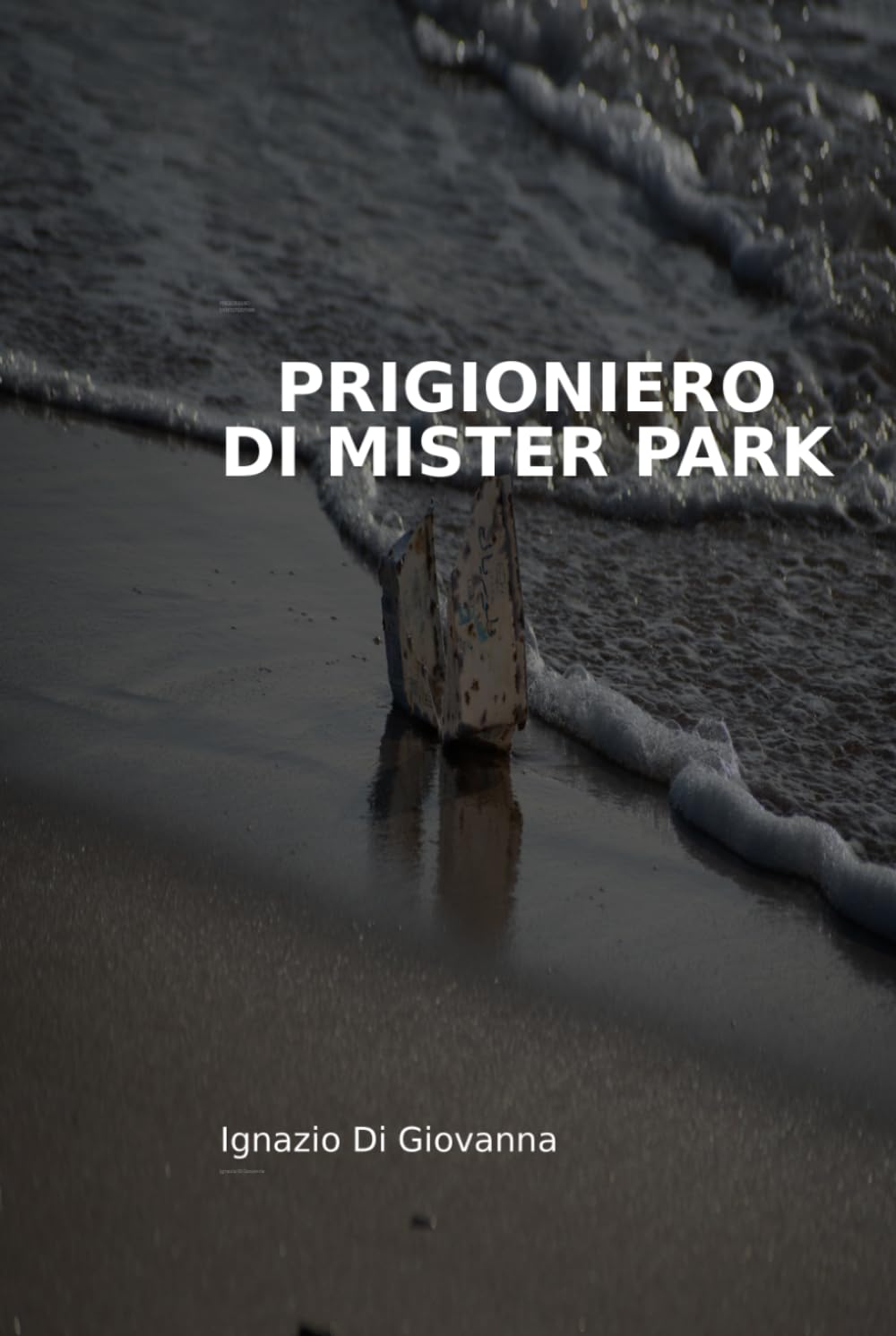 Prigioniero di Mister Park: Diario di una lotta contro il tempo e il corpo
