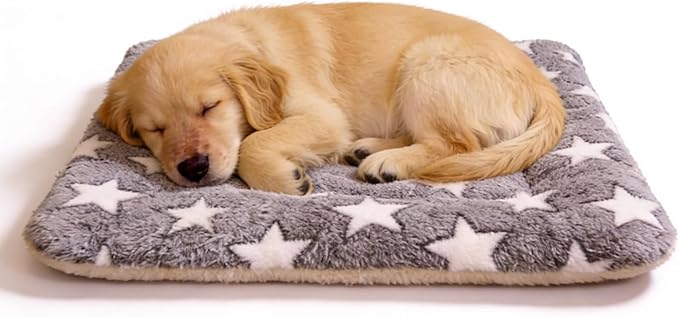 Colchoneta Térmica Autocalentable para Gatos y Perros Pequeñ