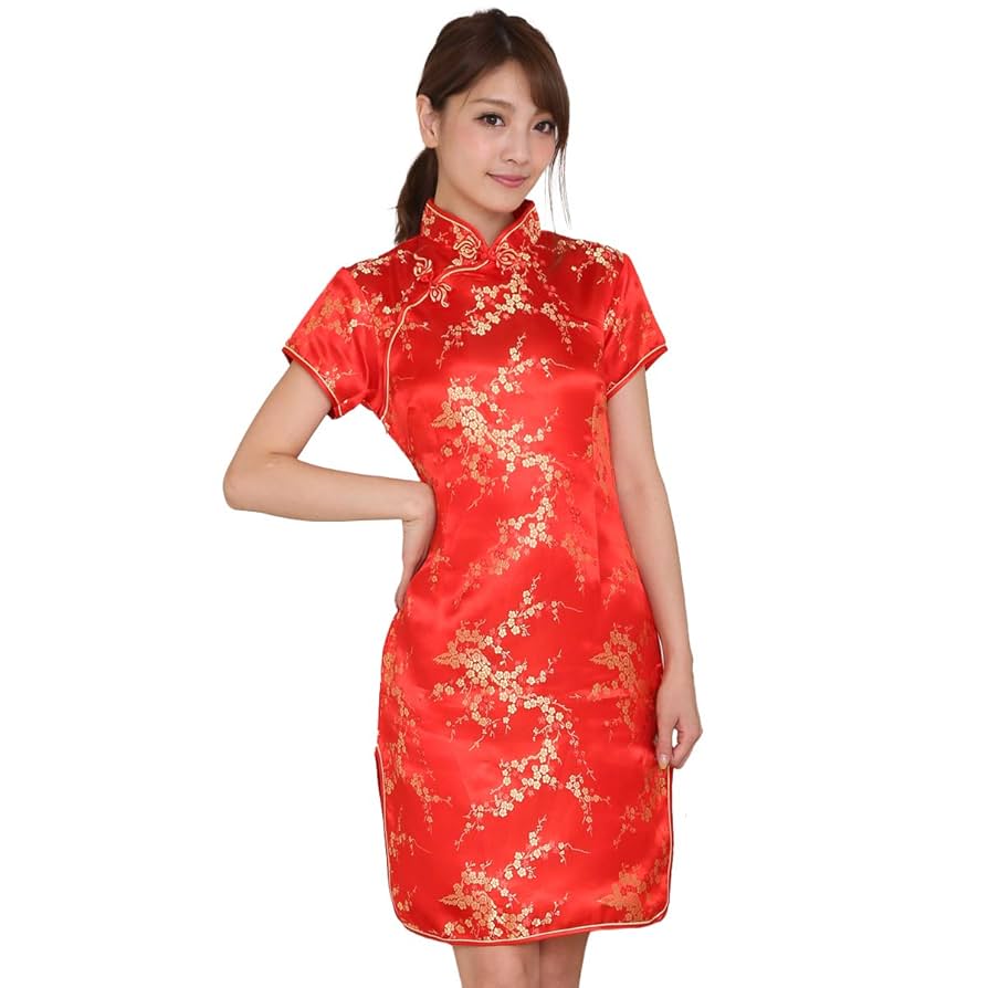 C&#39;EST LA VIE - 高級 ドレス CEST LAVIE チャイナ ドレス ワンピース ミニ ベロア 高級 ドレス CEST LAVIE チャイナ ドレス ワンピース ミニ ベロア