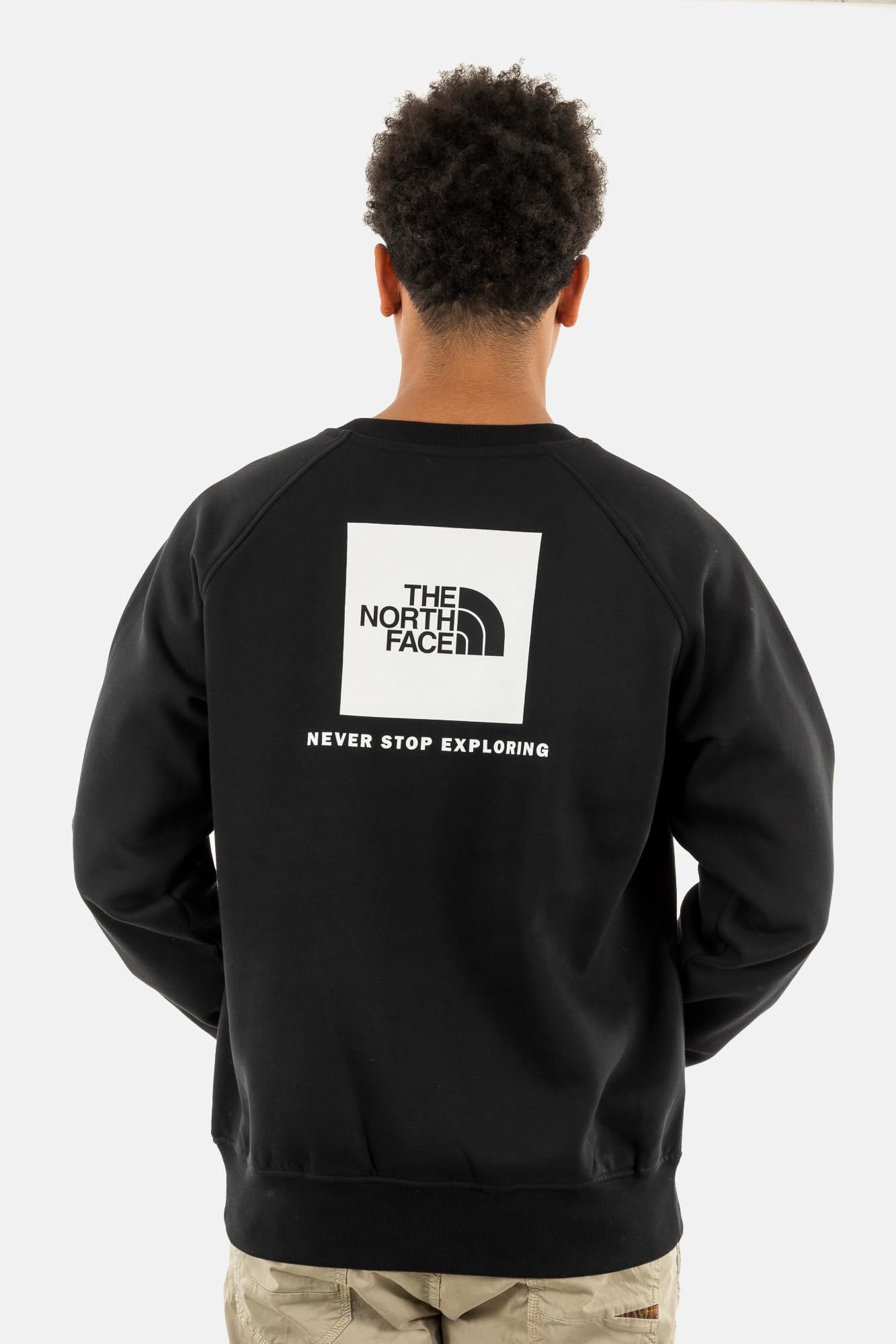 The North Face M Raglan Box NSE Crew Pullover Uomo (Pacco da 1)