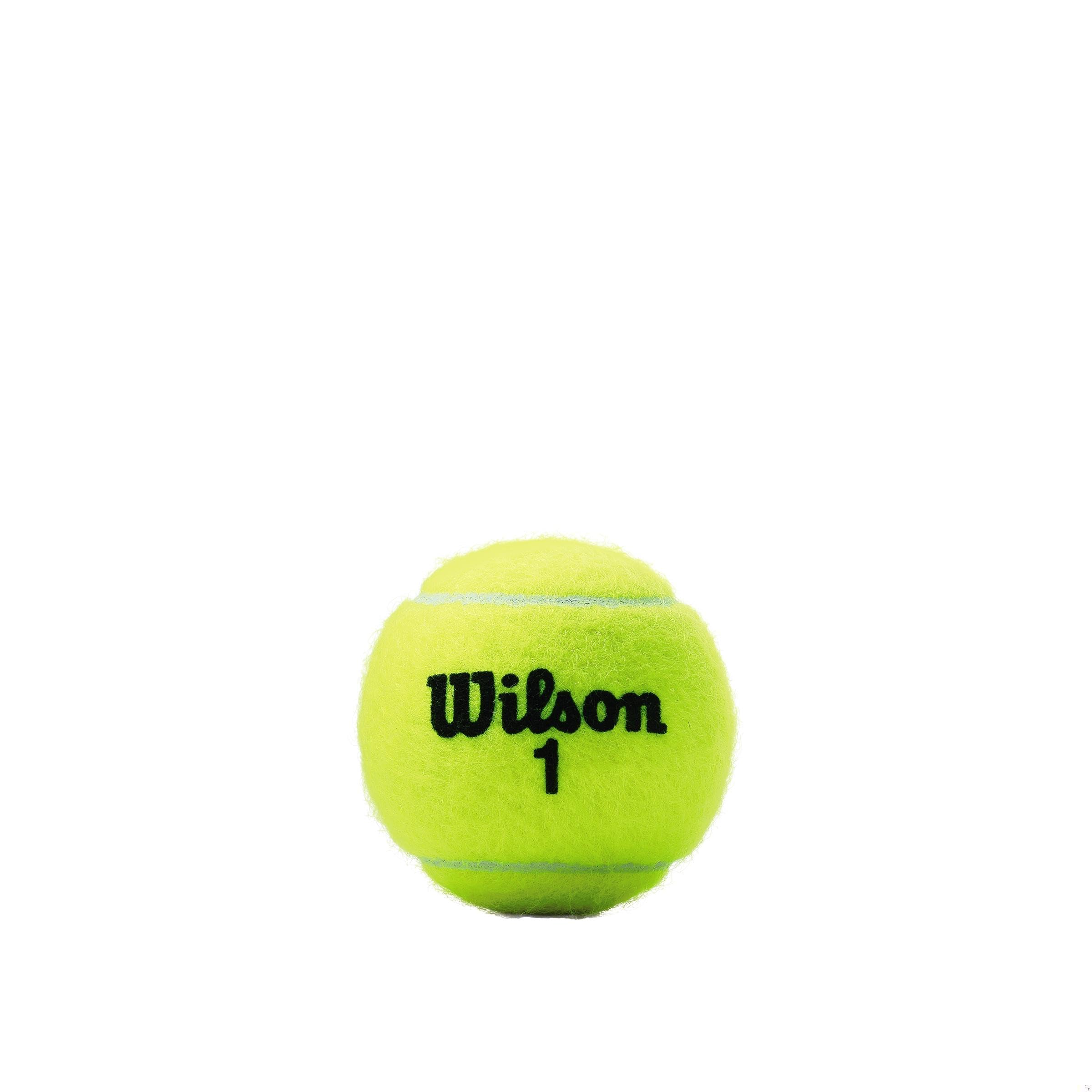 WILSON Tennis Balls WRT100101 3-Pack Championship Hard Court Tennis Balls - Quantity 24