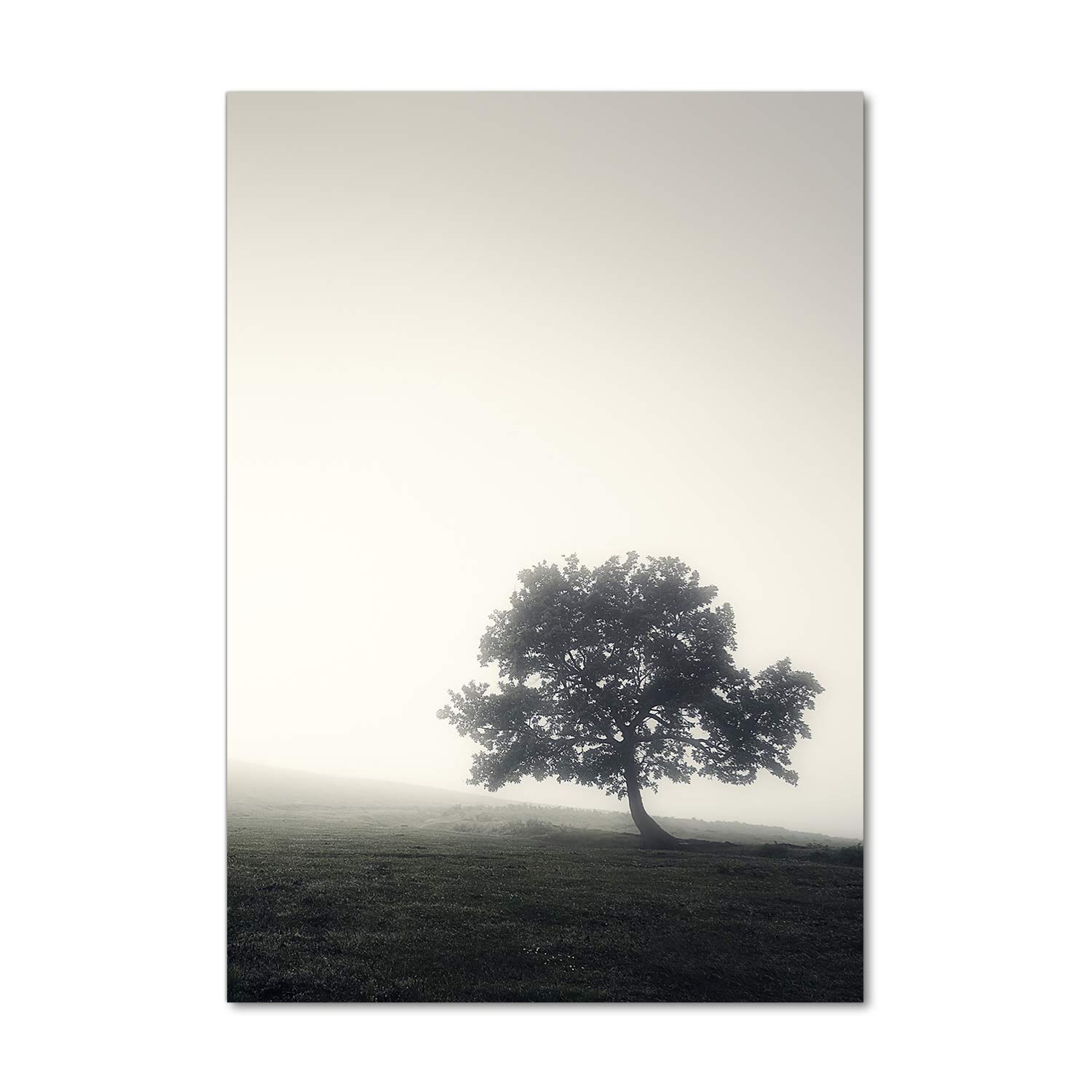 Impression sur Verre Acrylique Tulup 70x100 cm | Tableau Mural Gris Arbre dans Le Brouillard