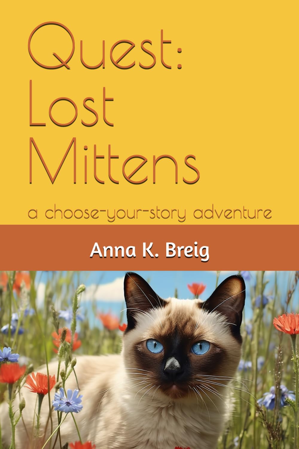 Quest: Lost Mittens: a choose-your-story adventure (Quest: choose-your-story adventures)