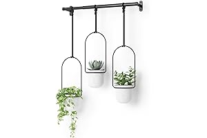 Umbra Triflora Indoor Wall Planters for Herb Garden Decoration