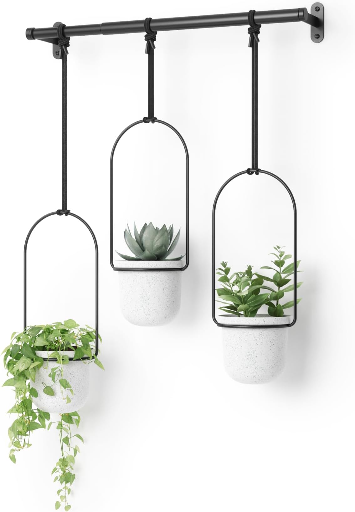 Triflora Hanging Planter for Window, Indoor Herb Garden, Set of 3, White/Black