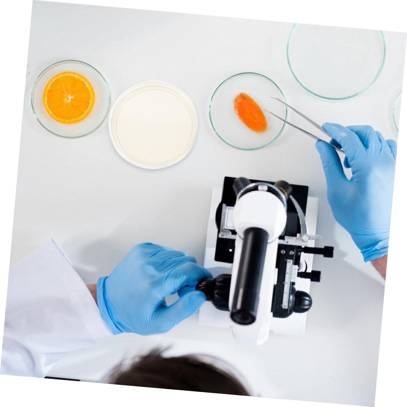 20 Placas de Petri Redondas de Agar Nutritivo Lb Pre-vertidas de 9 Cm Tapas Ajustadas para Cultivo de Hongos y Experimentos Científicos en Laboratorio Estudiantil