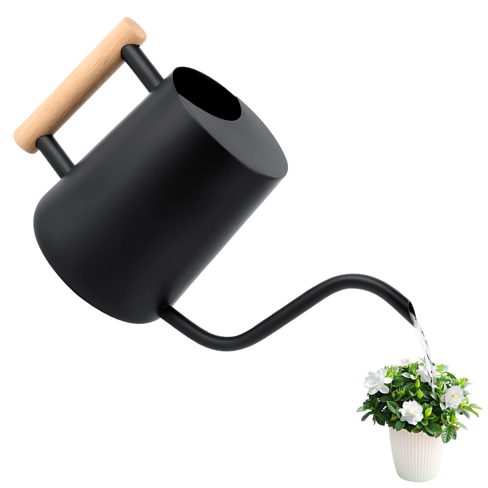 Mini annaffiatoio per piante, 1 litro in acciaio inossidabile di grande capacità con beccuccio lungo Piante grasse decorative per fiori da giardino innaffiatoio per succulente bonsai da giardino