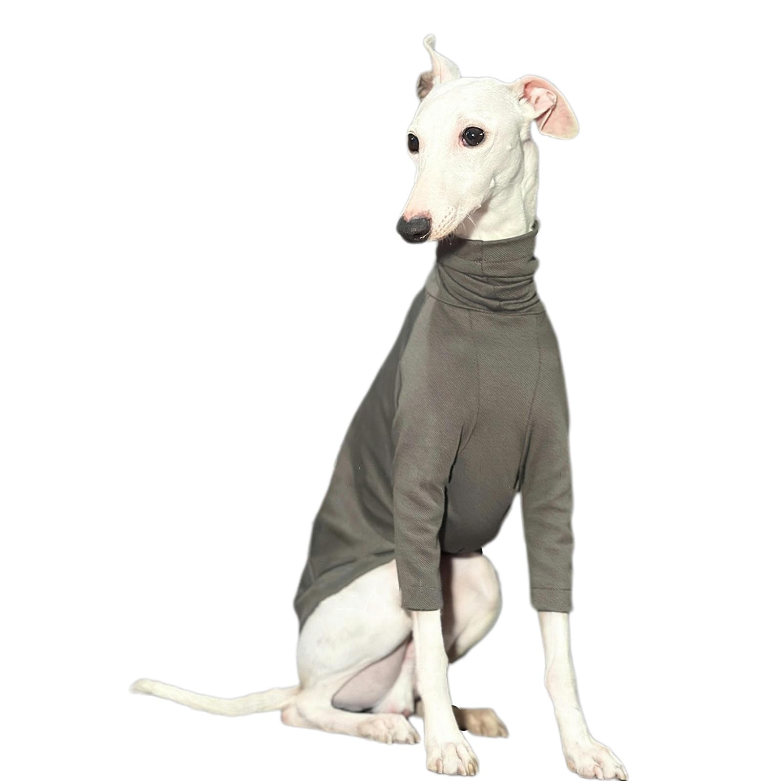 Camiseta de Galgo Italiano de Primavera y Verano, Ropa para Perros Whippet súper Fresca, Mono para Cachorros, Jersey elástico Ligero para Perros pequeños, medianos y Grandes