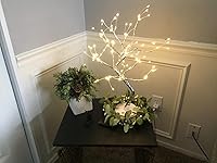 Review Image by Gulliver Gulliver