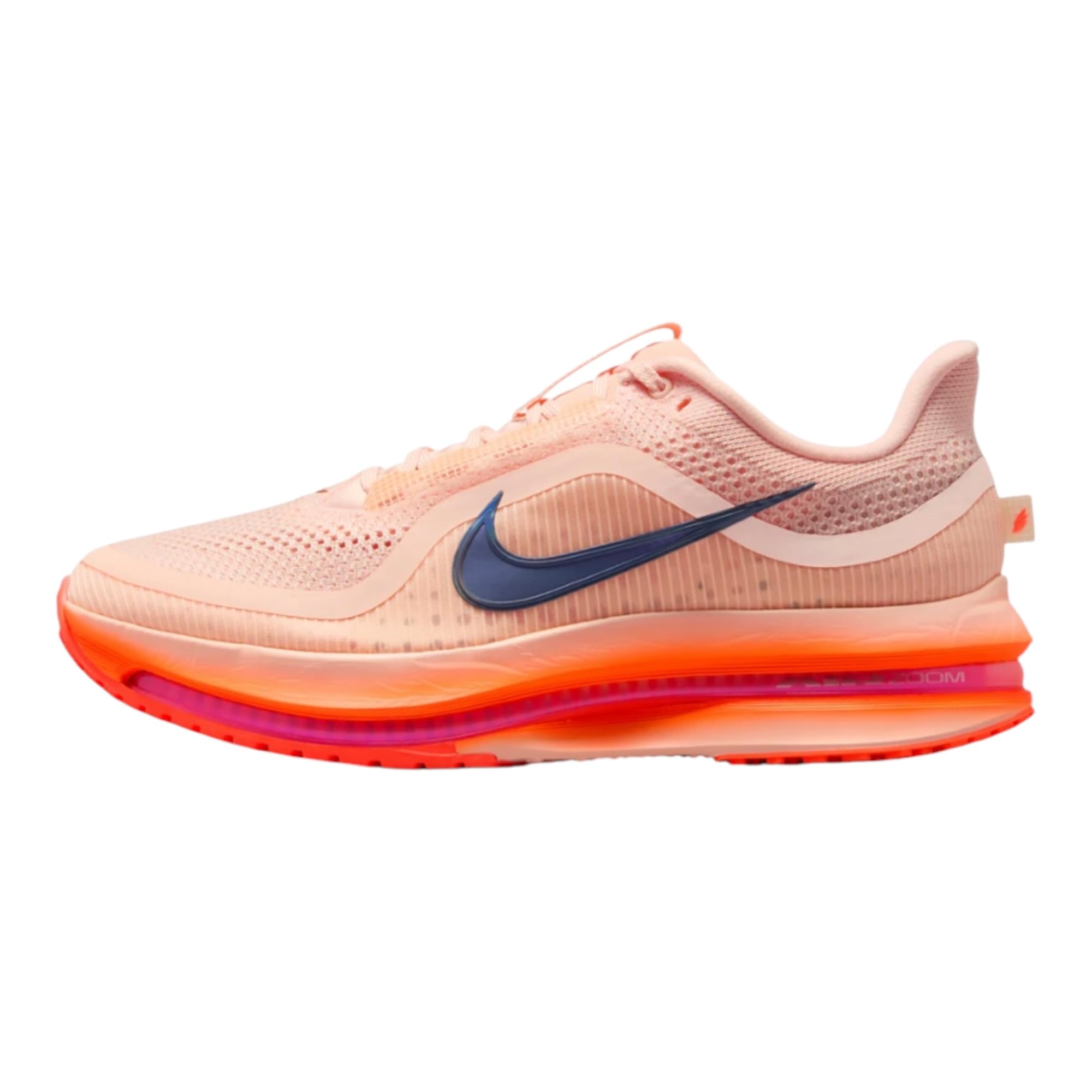 Nike Pegasus Premium Men's Shoes