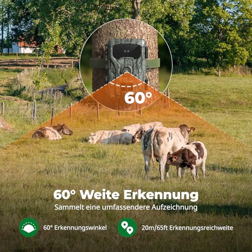 Caytail 4K 48MP Wildkamera, Wildtierkamera mit Nachtsicht Bewegungsmelder ohne WLAN mit 2-Zoll-LCD-Bildschirm, 64GB SD-Karte, IP66, Loop-Aufzeichnung zur Beobachtung von Rehen und Anderen Wildtieren