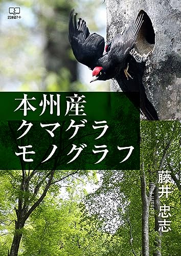 本州産クマゲラ モノグラフ(22世紀アート)