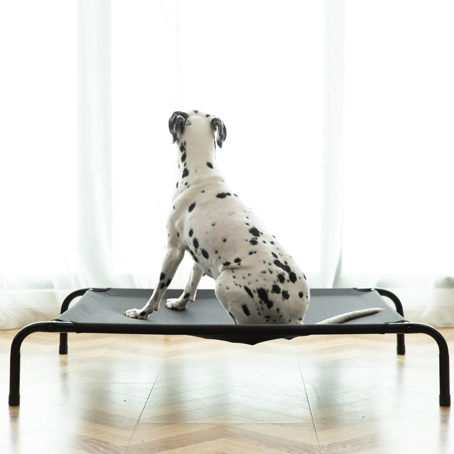 Elevated Dog Cot Bed, Outdoor Dog Bed Large Dogs, Durable Dog Raised Bed 36 INCH